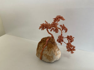 Small copper bonsai tree